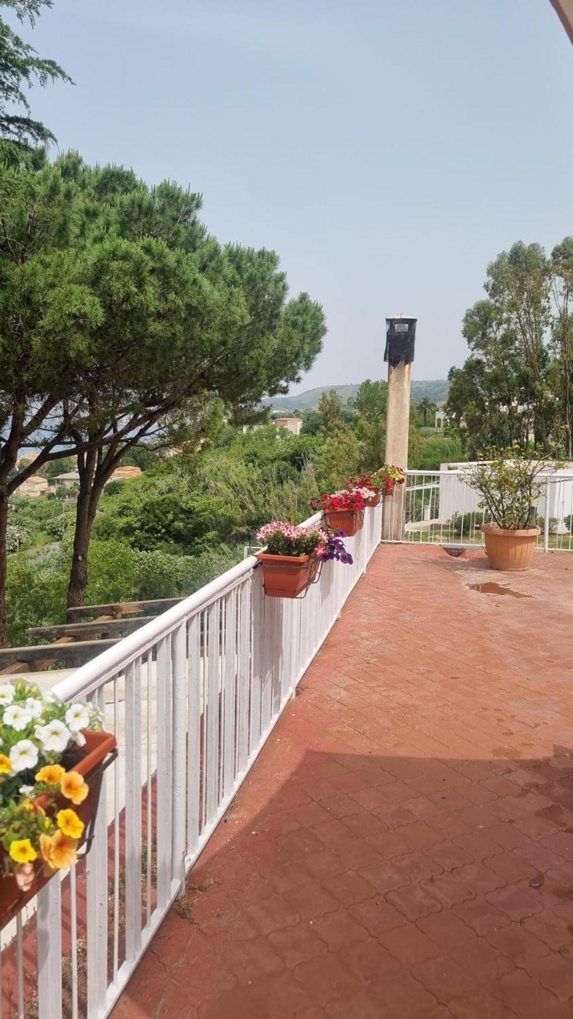 Villa Elvira Country House Belvedere Marittimo Bagian luar foto