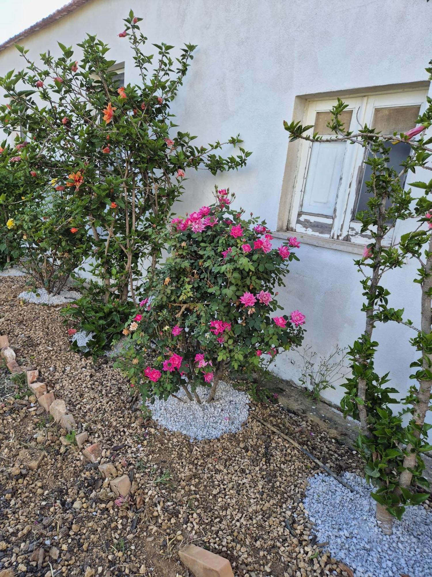 Villa Elvira Country House Belvedere Marittimo Bagian luar foto