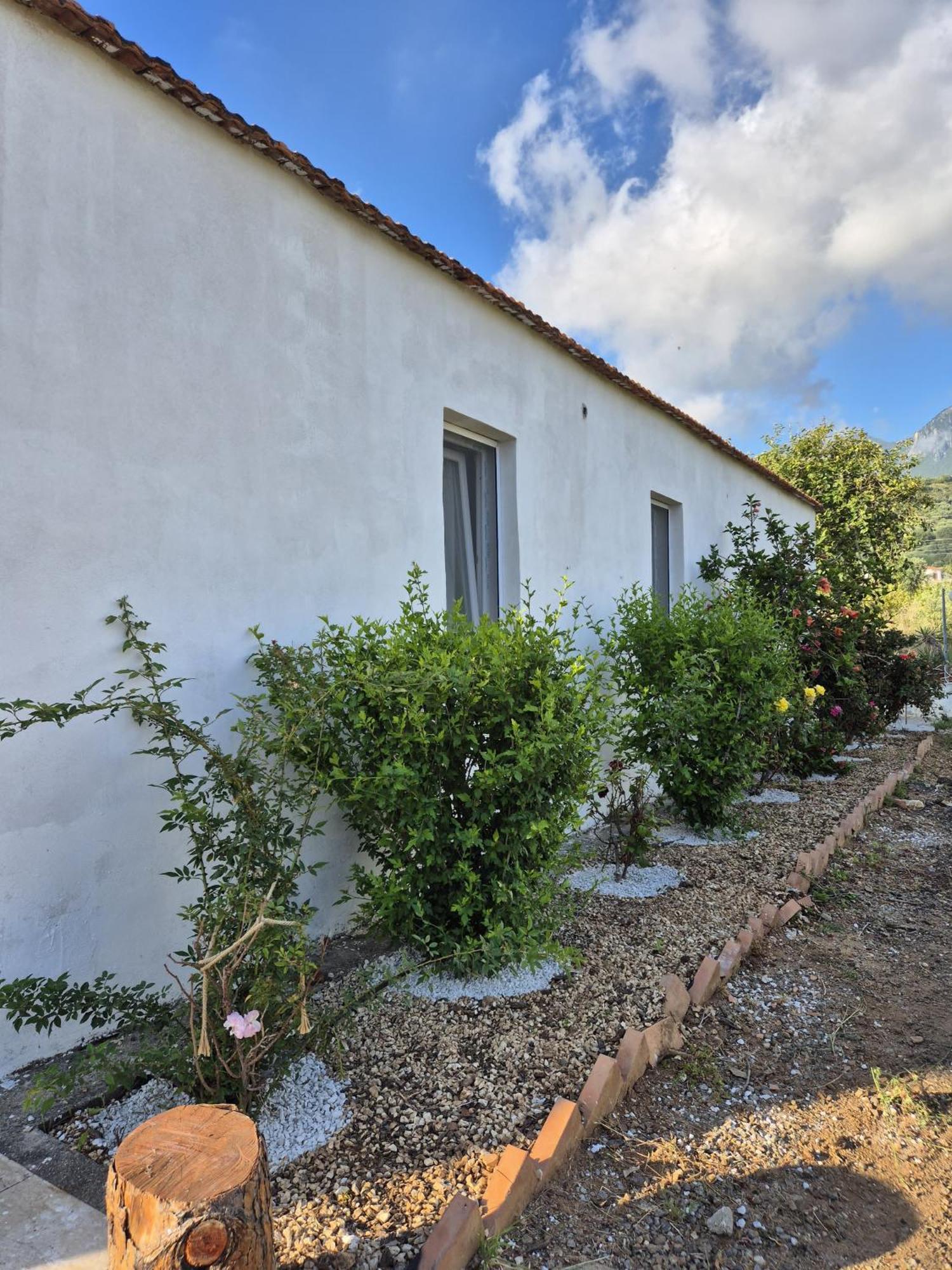 Villa Elvira Country House Belvedere Marittimo Bagian luar foto