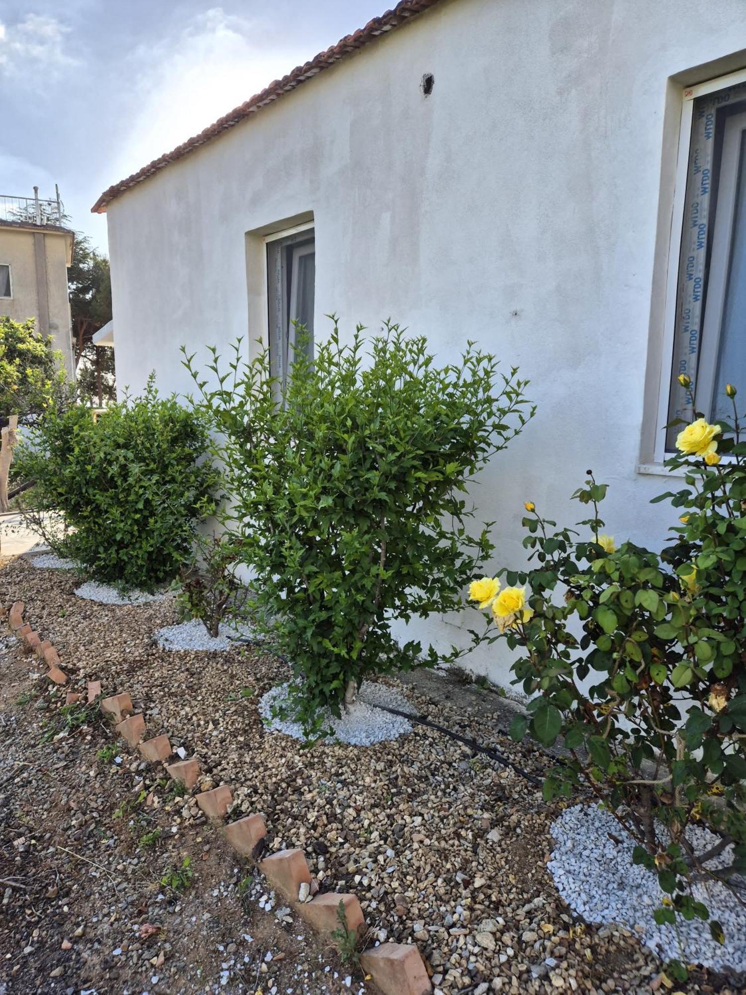 Villa Elvira Country House Belvedere Marittimo Bagian luar foto